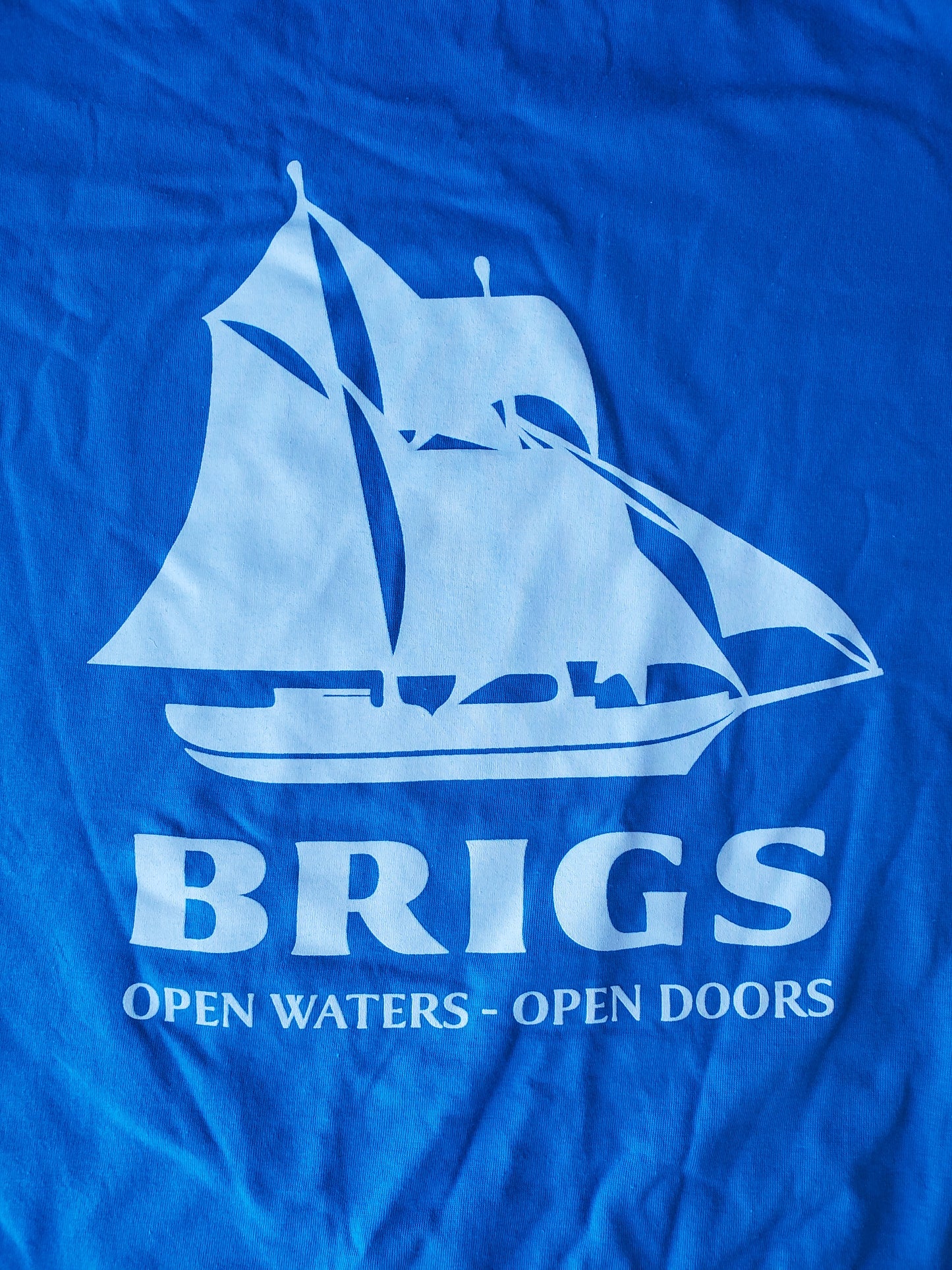 Example Listing: T-shirt - Bright Blue with Brigs Logo