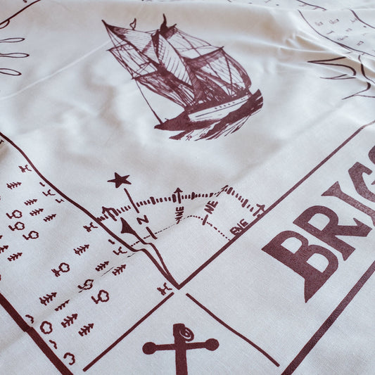 Close-up of a white fabric with brown nautical-themed designs including a ship, compass, and anchor.
