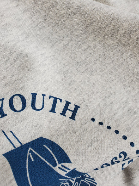 Example Listing: Hoodie (Heather Oatmeal) with Brigs Crest (Sea Blue)