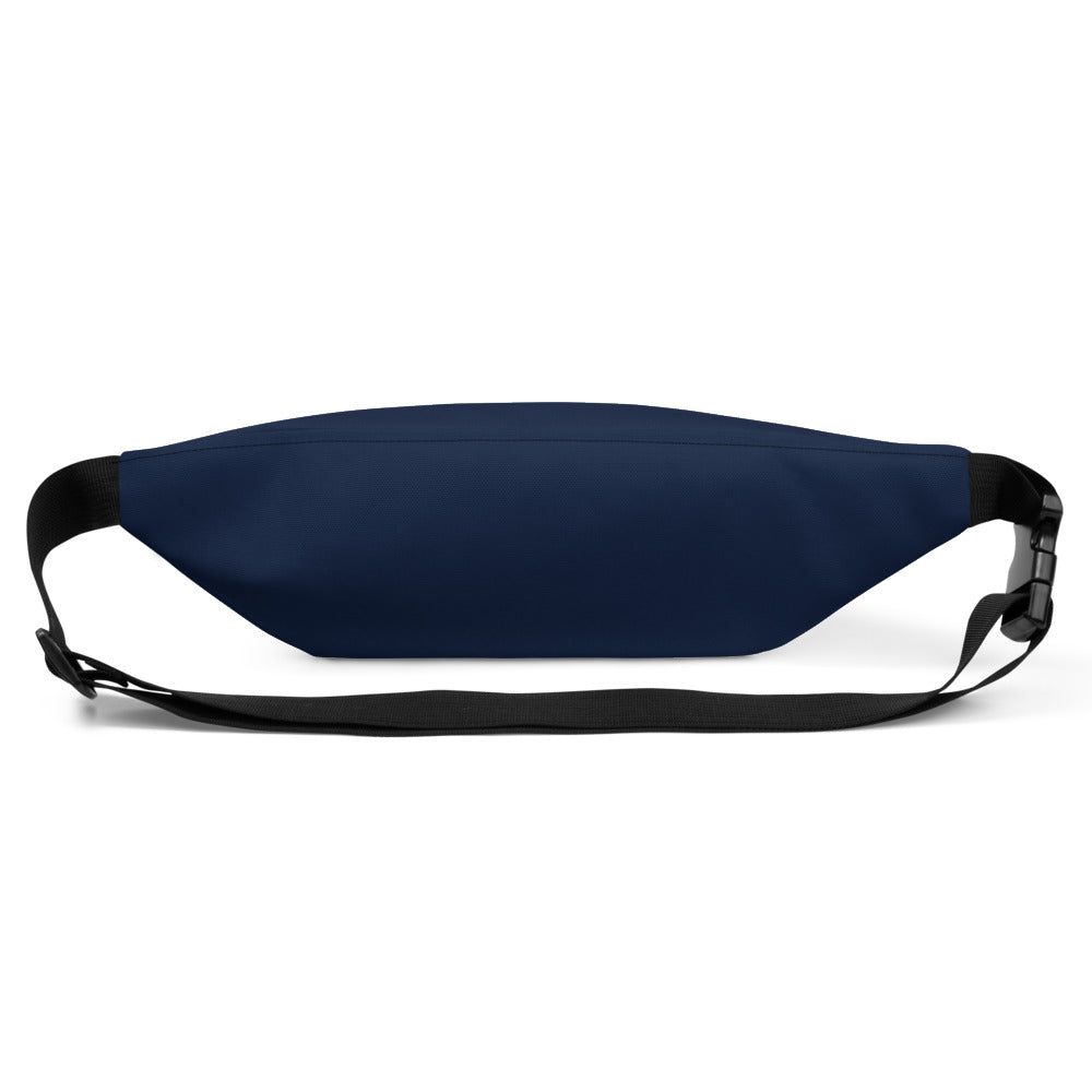 Brigs Fanny Pack